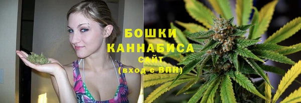 винт Касимов