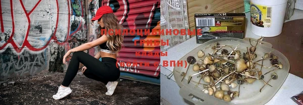 прущая мука Карталы