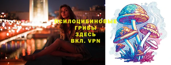 винт Касимов
