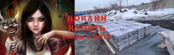 винт Касимов