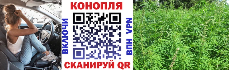 МАРИХУАНА планчик  Купить закладки  Азов 
